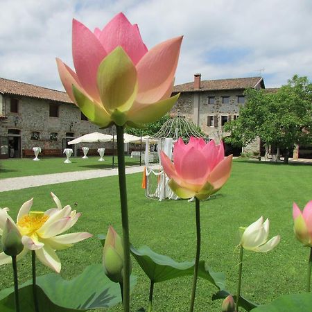 Agriturismo Il Vagabondo Buttrio Exteriör bild