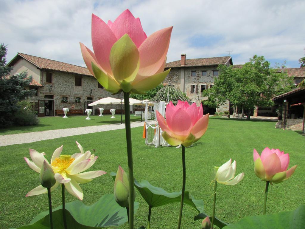 Agriturismo Il Vagabondo Buttrio Exteriör bild
